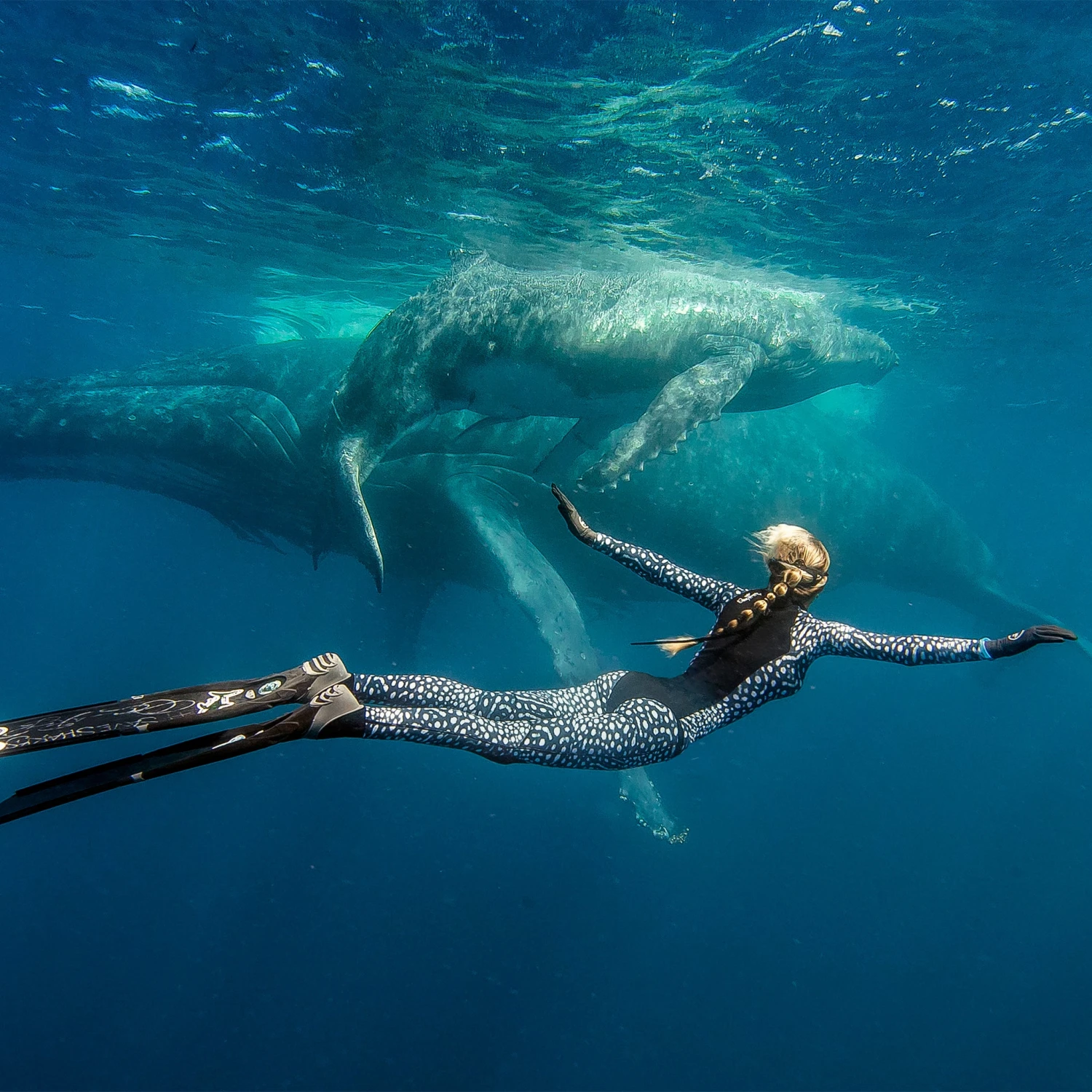 Women's Ocean Ramsey Water Inspired Axis Neoprene Pant 2mm 11 Women's Ocean Ramsey Water Inspired Axis Neoprene Pant 2mm - Image 9