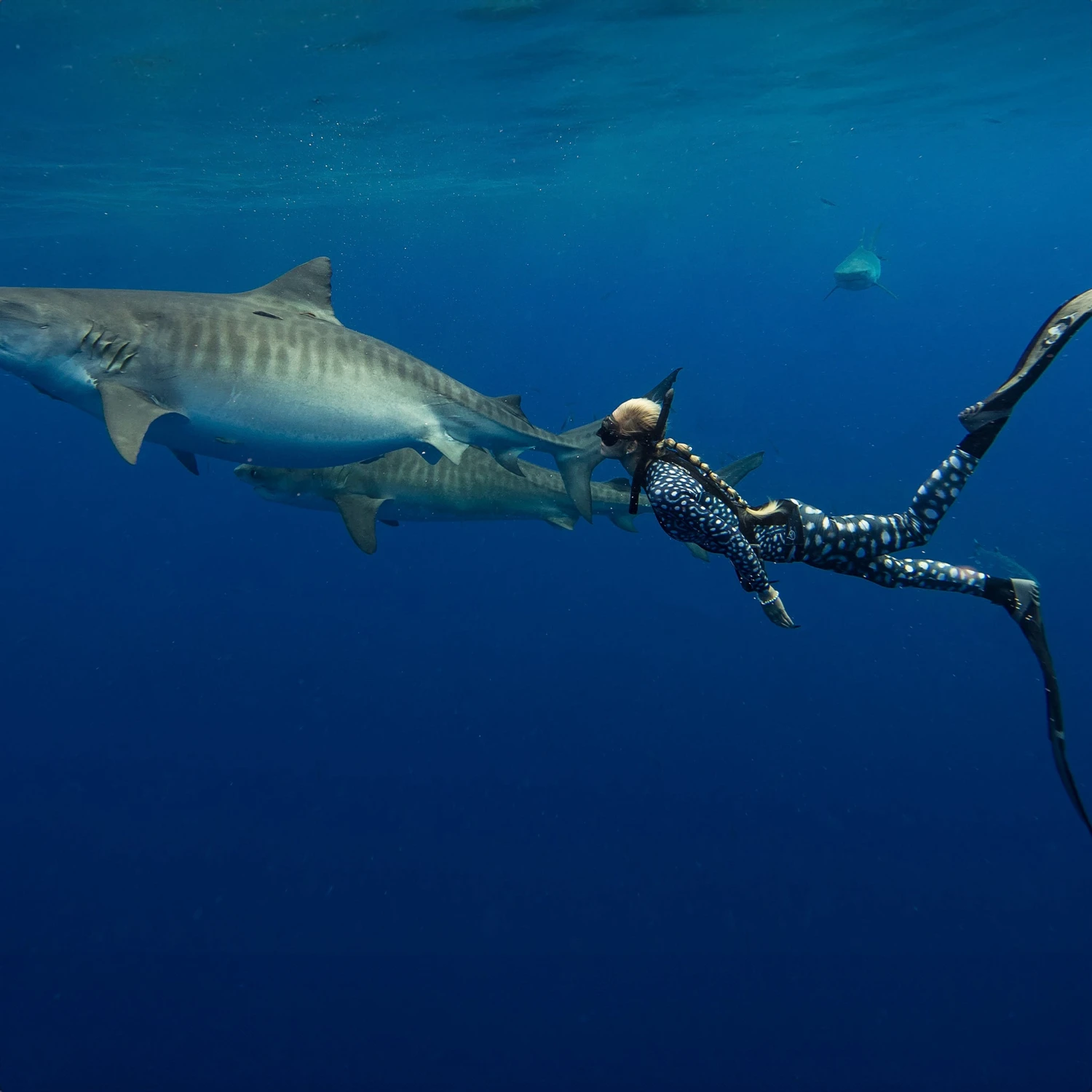 Women's Ocean Ramsey Water Inspired Axis Neoprene Pant 2mm 10 Women's Ocean Ramsey Water Inspired Axis Neoprene Pant 2mm - Image 8