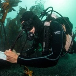 Womens Thermoflex Dive Full Wetsuit 8/7mm -Fit Wetsuit Xcel Dive Thermoflex87 DiveHood WR87XRU3 AN6519R3 9 Web