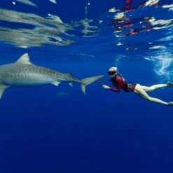 Women's Ocean Ramsey Water Inspired Axis Long Sleeve Back Zip Glide Skin Springsuit 2mm 22 Women's Ocean Ramsey Water Inspired Axis Long Sleeve Back Zip Glide Skin Springsuit 2mm -Fit Wetsuit Xcel OceanRamsey SP22 RedCoral 4