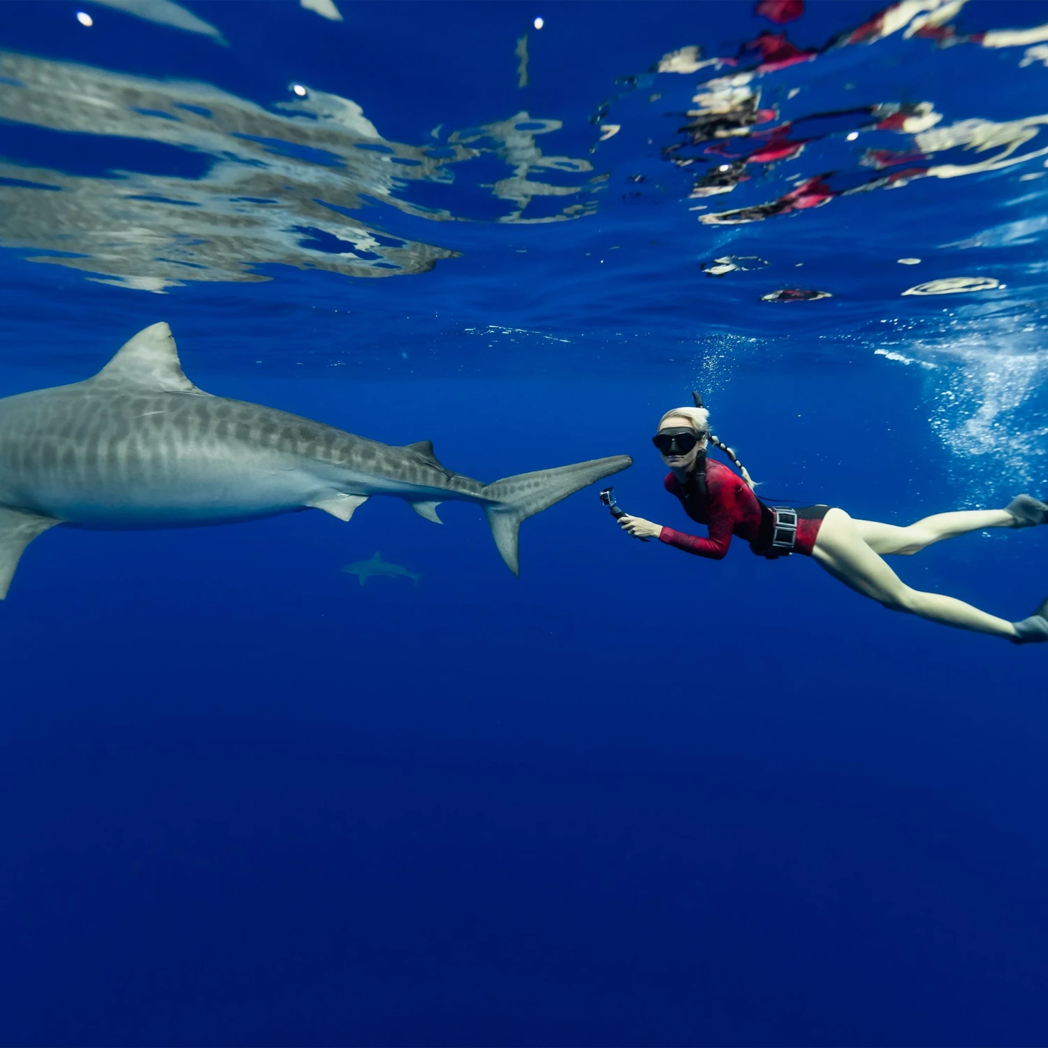 Women's Ocean Ramsey Water Inspired Axis Long Sleeve Back Zip Glide Skin Springsuit 2mm 11 Women's Ocean Ramsey Water Inspired Axis Long Sleeve Back Zip Glide Skin Springsuit 2mm - Image 9