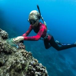 Women's Ocean Ramsey Water Inspired Axis Long Sleeve Back Zip Glide Skin Springsuit 2mm 16 Women's Ocean Ramsey Water Inspired Axis Long Sleeve Back Zip Glide Skin Springsuit 2mm -Fit Wetsuit Xcel OceanRamsey SP22 RedCoral AV3A2485 Edit